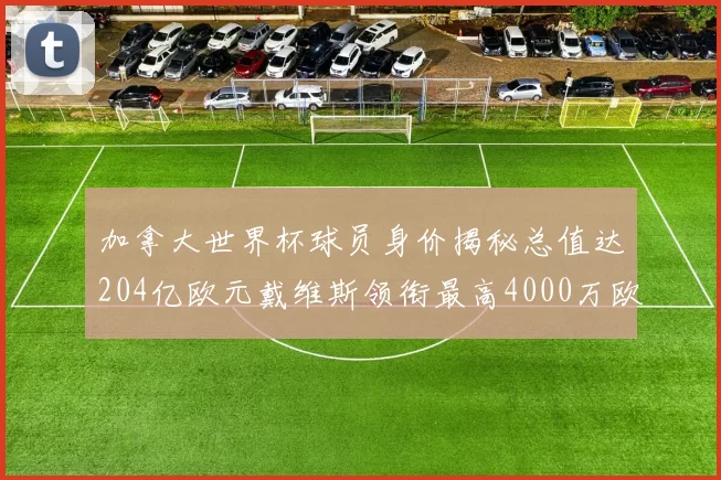 加拿大世界杯球员身价揭秘总值达204亿欧元戴维斯领衔最高4000万欧